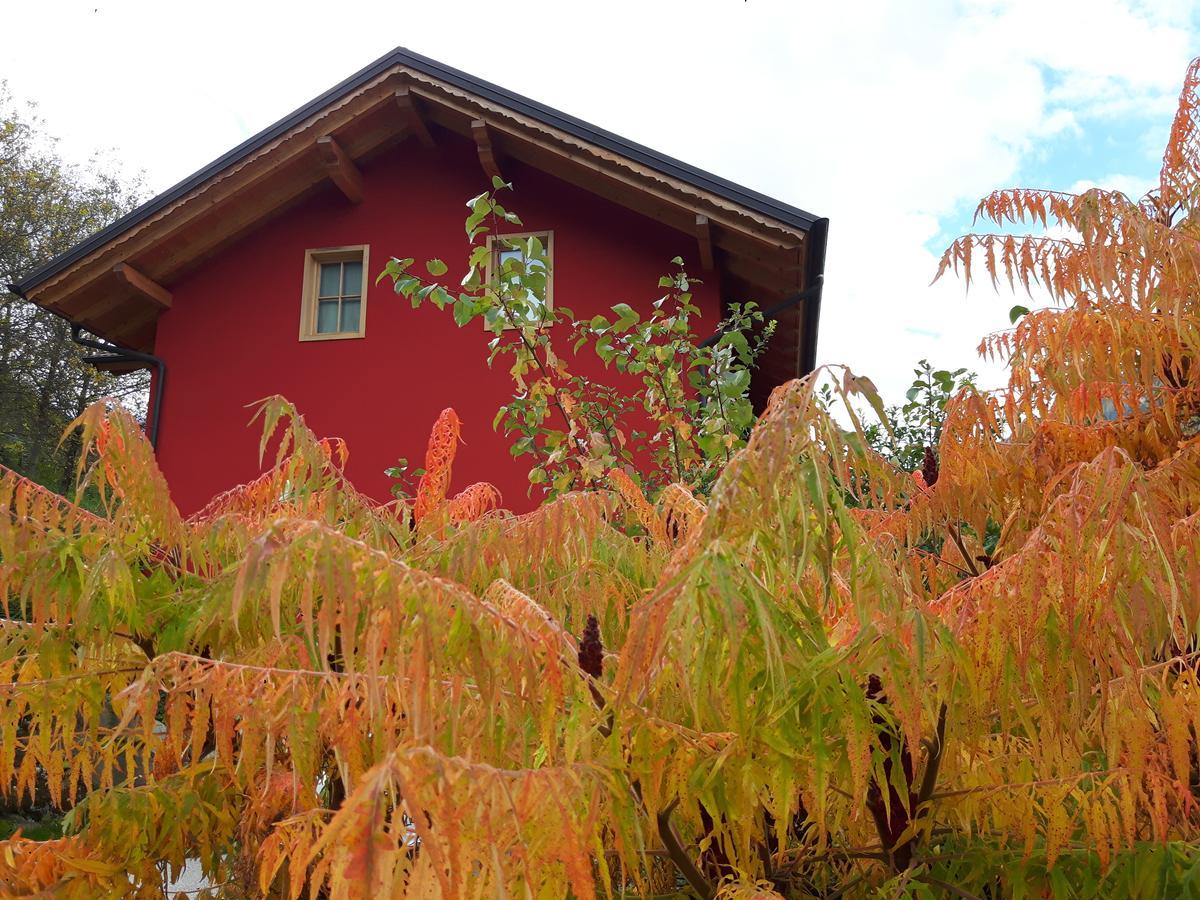 Activity Appartamento Vacanze Spormaggiore Exterior photo